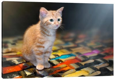 Missing You Canvas Art Print - Tabby Cat Art