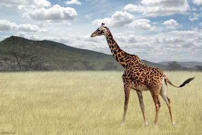 Once Upon A Time In Kenya #3 by Ben Heine acrylic art print