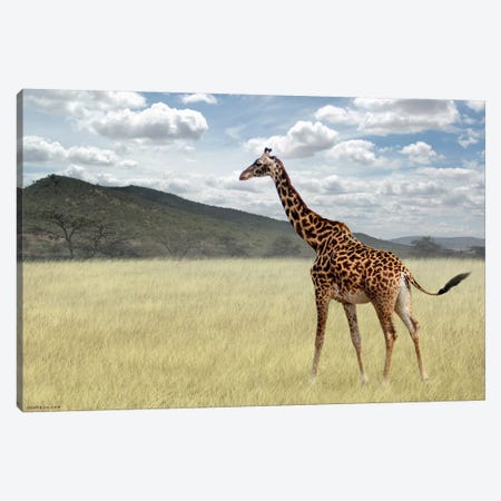 Once Upon A Time In Kenya #3 Canvas Print #BHE158} by Ben Heine Art Print