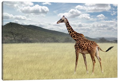 Once Upon A Time In Kenya #3 Canvas Art Print - Ben Heine