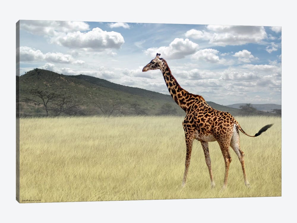 Once Upon A Time In Kenya #3 by Ben Heine 1-piece Canvas Print