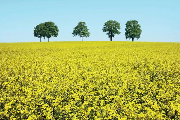 Photography: Brotherhood by Ben Heine