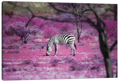 Kenya VII Canvas Art Print - Pantone Ultra Violet 2018