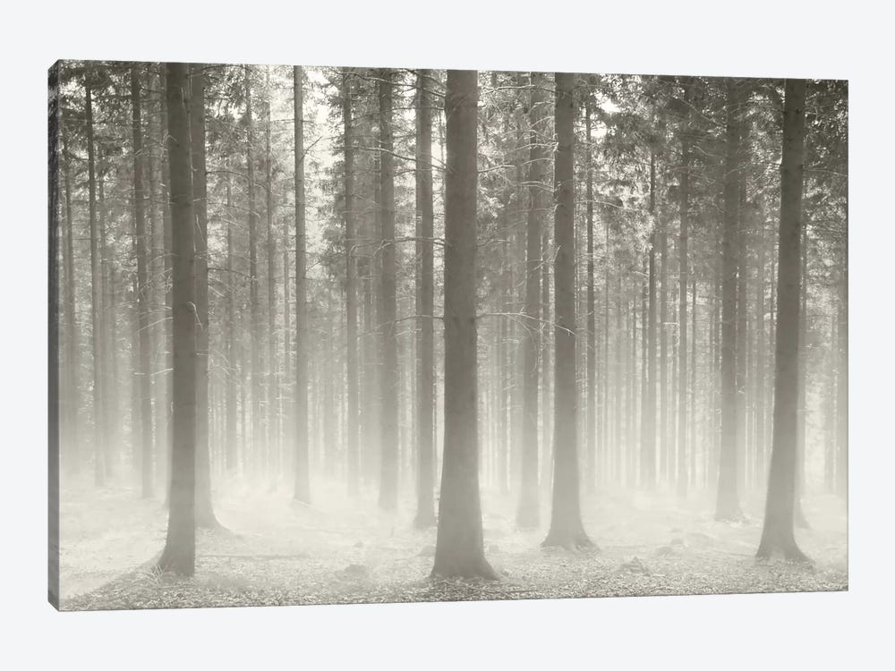 Polish Forest II by Ben Heine 1-piece Art Print
