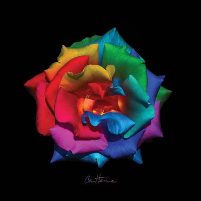 A Gift For My Muse by Ben Heine framed canvas print