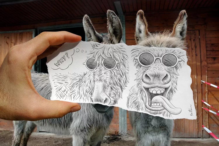 Pencil vs. Camera 12 - Funny Donkeys