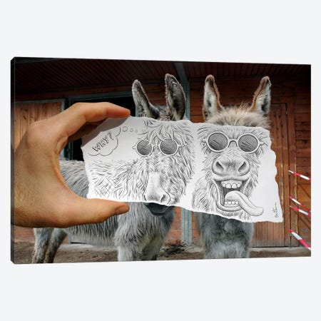 Pencil vs. Camera 12 - Funny Donkeys Canvas Print #BHE17} by Ben Heine Canvas Print