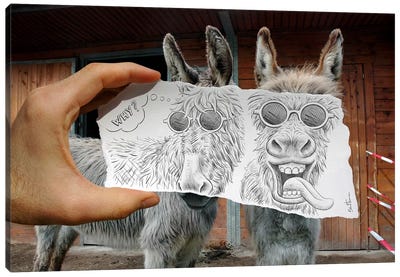 Pencil vs. Camera 12 - Funny Donkeys Canvas Art Print - Ben Heine