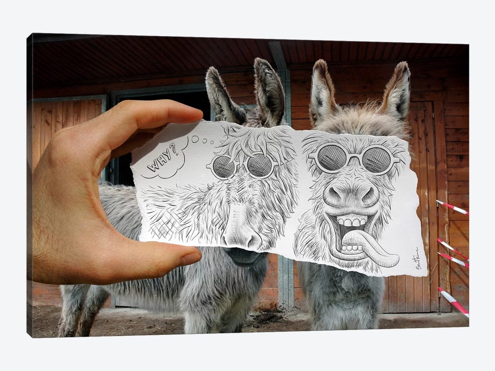 Pencil vs. Camera 12 - Funny Donkeys by Ben Heine 1-piece Canvas Art Print