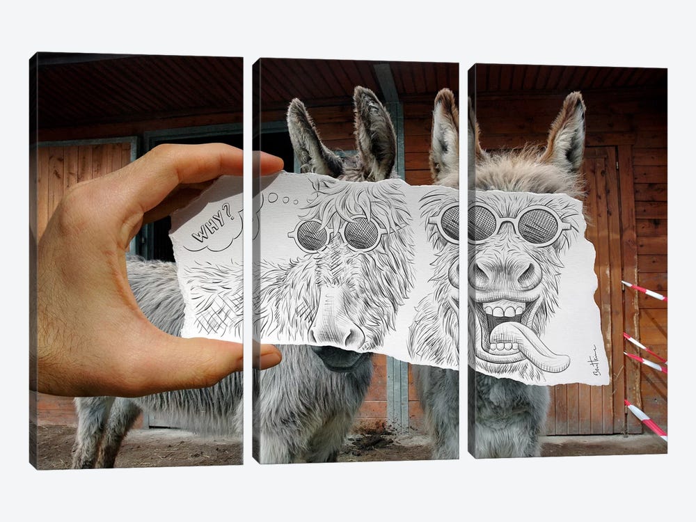 Pencil vs. Camera 12 - Funny Donkeys by Ben Heine 3-piece Canvas Print
