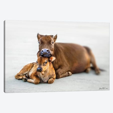 Mother And Son Canvas Print #BHE190} by Ben Heine Art Print