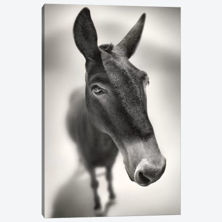 Talking To Me Canvas Print #BHE204} by Ben Heine Canvas Wall Art