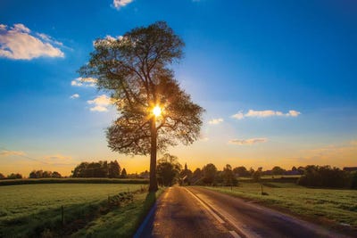 The Gift Of Life by Ben Heine art print