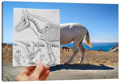 Pencil vs. Camera 40 - X Ray Canvas Art Print - Skeleton Art
