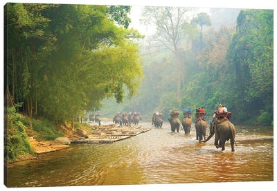 Elephants Balad - Thailand 330 Canvas Art Print - Ben Heine