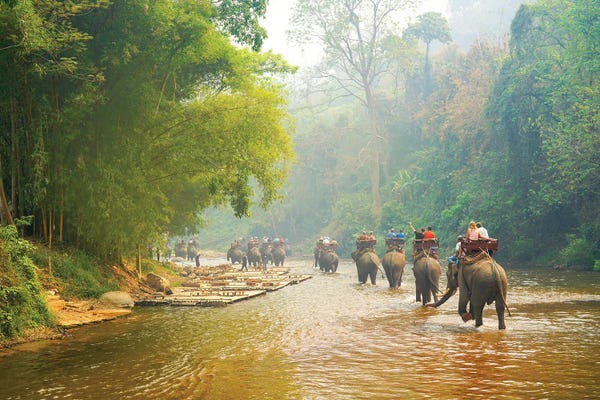 Thailand: Elephants Balad - Thailand 330 by Ben Heine