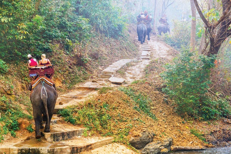 Elephants Walk - Thailand 308