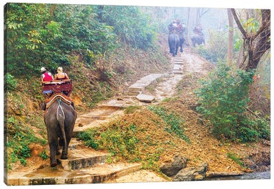Elephants Walk - Thailand 308 Canvas Art Print