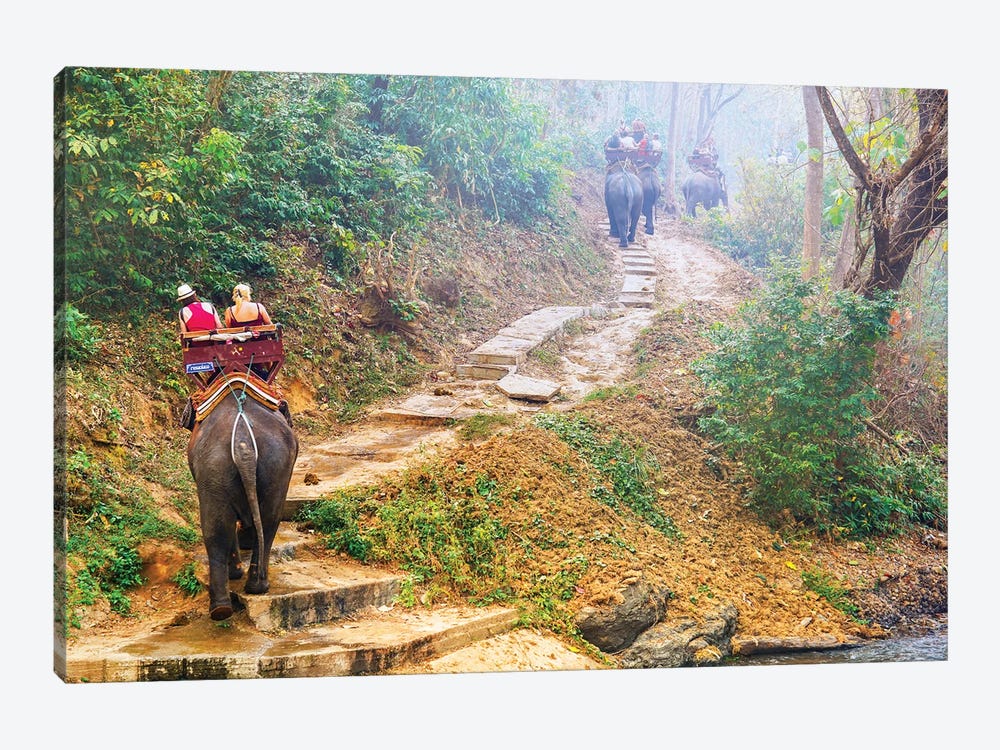 Elephants Walk - Thailand 308 by Ben Heine 1-piece Canvas Wall Art