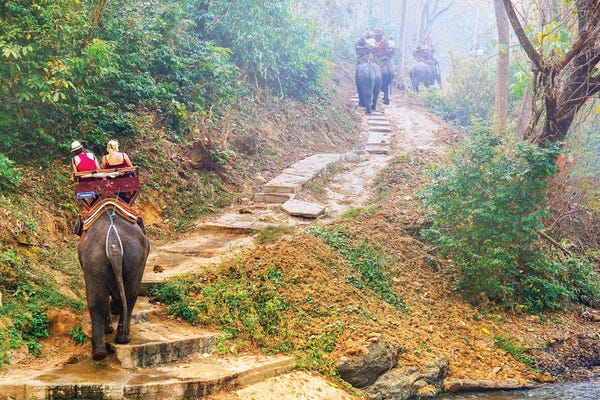 Thailand: Elephants Walk - Thailand 308 by Ben Heine