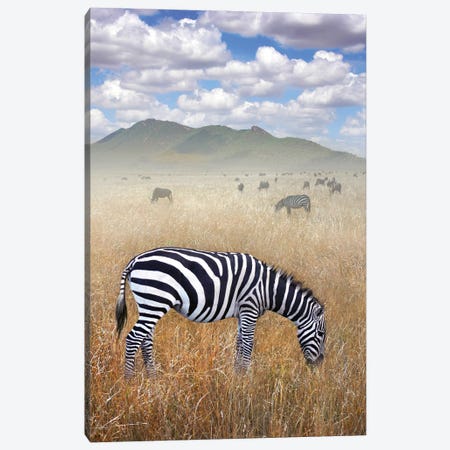 Once Upon A Time In Kenya I Canvas Print #BHE297} by Ben Heine Art Print