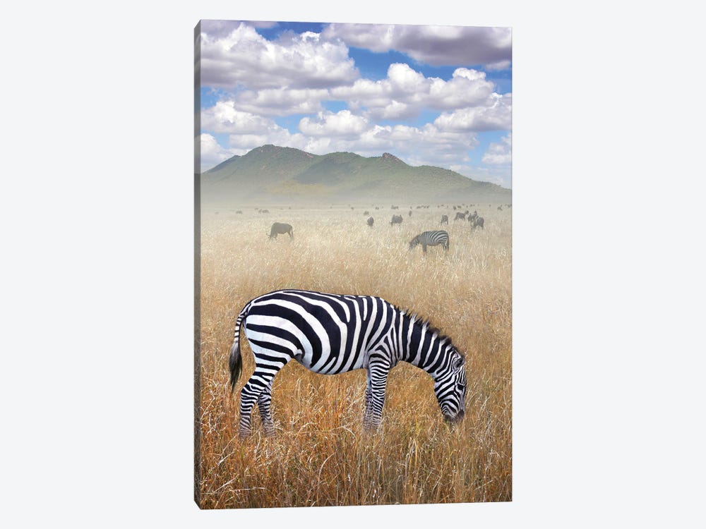 Once Upon A Time In Kenya I by Ben Heine 1-piece Canvas Artwork