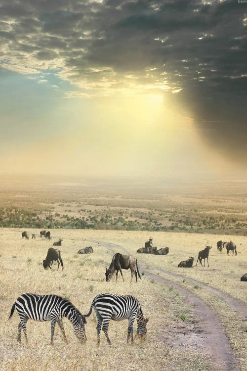 Once Upon A Time In Kenya VI by Ben Heine wall art