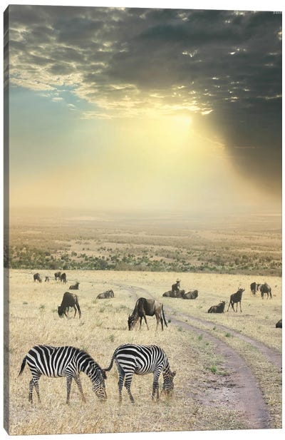 Once Upon A Time In Kenya VI Canvas Art Print - Zebra Art