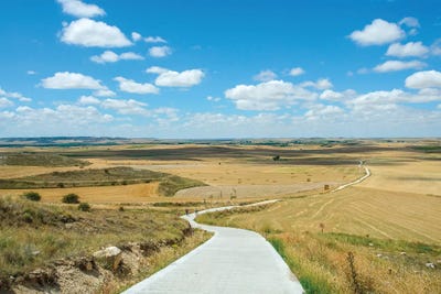 Santiago De Compostela Pilgrimage 160 by Ben Heine art print
