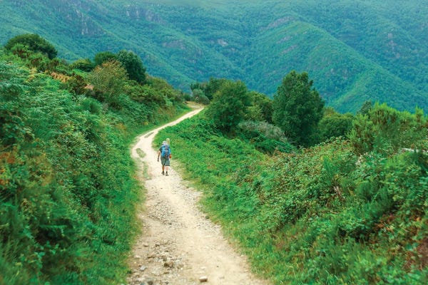 Take A Hike: Santiago De Compostela Pilgrimage 242 by Ben Heine