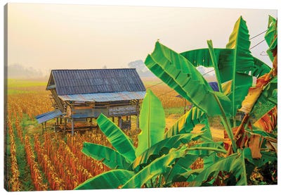 Thailand Photography 159 Canvas Art Print - Country Scenic Photography