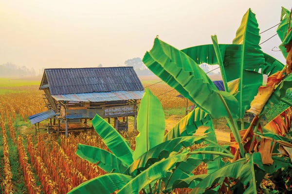 Photography: Thailand Photography 159 by Ben Heine