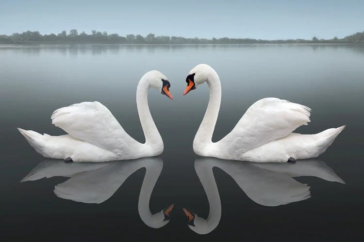 Together by Ben Heine wall art