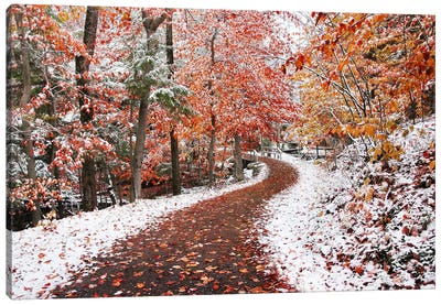 Two Seasons Canvas Art Print - Trail, Path & Road Art