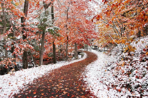 Ben Heine: Two Seasons by Ben Heine