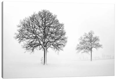 We Live And Die Together Canvas Art Print - Snowscape Art