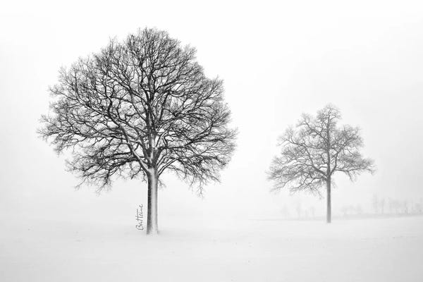 Snowscapes: We Live And Die Together by Ben Heine