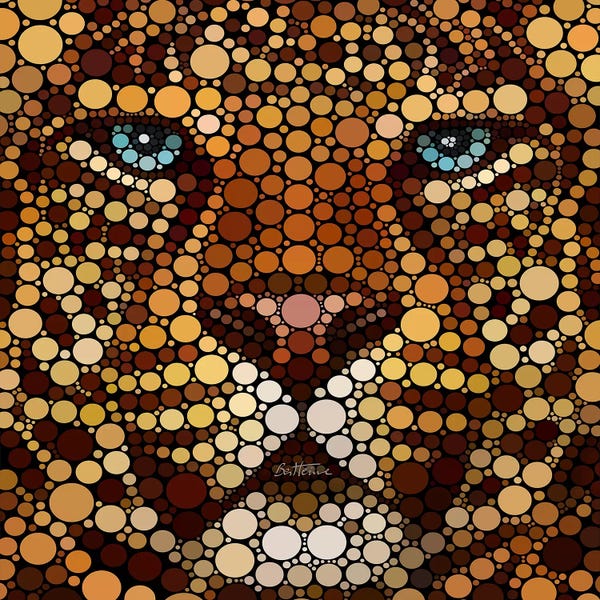 Ben Heine: Leopard by Ben Heine