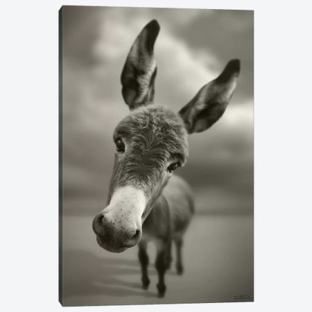 Hey There Canvas Print #BHE64} by Ben Heine Canvas Wall Art