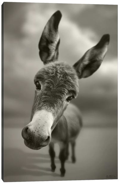 Hey There Canvas Art Print - Composite Photography