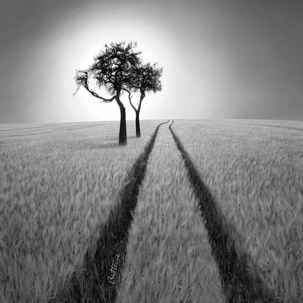 Composite Photography: Listen To Wisdom by Ben Heine