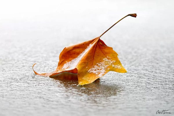 Ben Heine: Crisp by Ben Heine