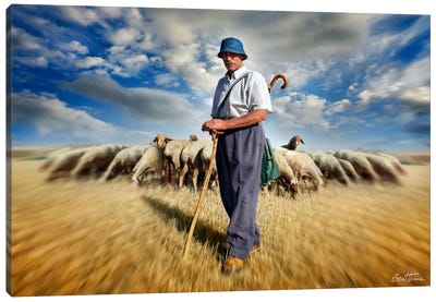 The Shepherd's Call Canvas Art Print - Ben Heine