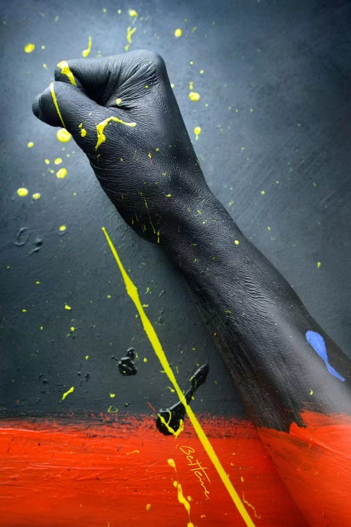 Fight for Your Right by Ben Heine wall art