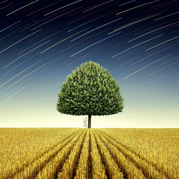 Apple Trees: Newton's Apple Tree by Ben Heine