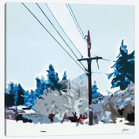 Winterhood 2020 Canvas Print #BHL15} by BethAnn Lawson Canvas Wall Art
