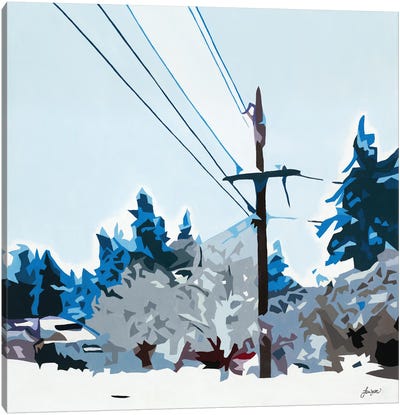 Winterhood 2020 Canvas Art Print