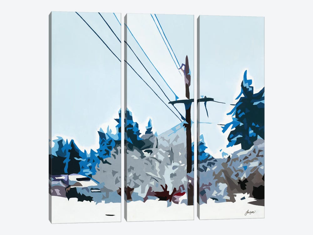 Winterhood 2020 by BethAnn Lawson 3-piece Canvas Print