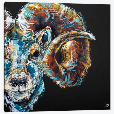 Jason The Ram Canvas Print #BHM14} by Bria Hammock Art Print