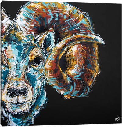 Jason The Ram Canvas Art Print - Sheep Art